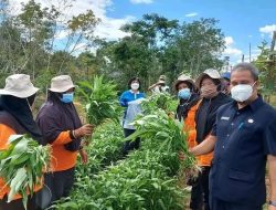 Wujudkan Ketahanan Pangan, Pemkab Sintang Perkuat Sinergisitas