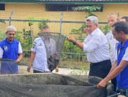 Dukung Kemandirian Pangan, Lapas Sintang Panen 156 Kg Lele