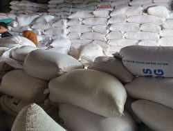 Bulog Sintang Perkuat Cadangan Jagung Daerah